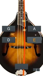 How to cancel & delete mandolin tuner simple 2