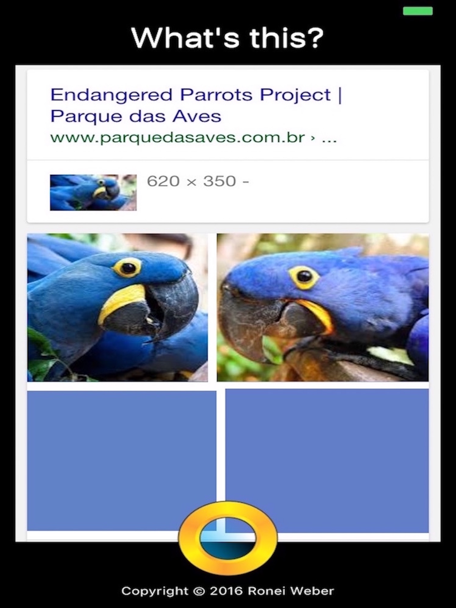 What is This? Photo Search