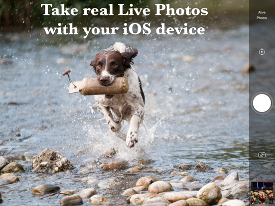 Screenshot #4 pour Alive Photos