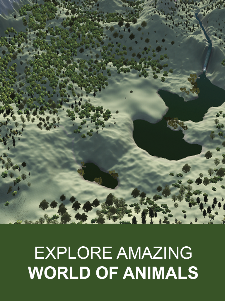Explain 3D: Forest animals FREE