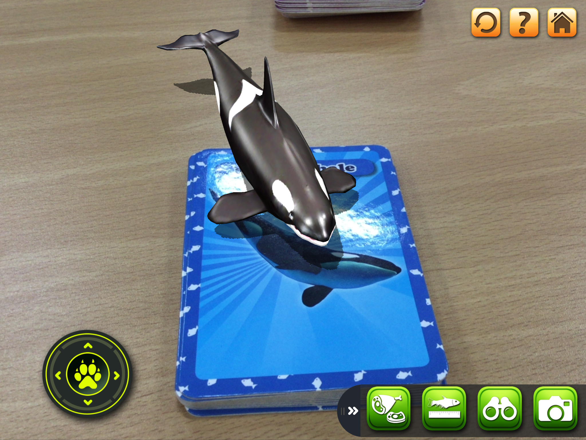3D LEARNING CARD SEA ANIMALS screenshot 8