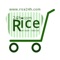 Rice24h