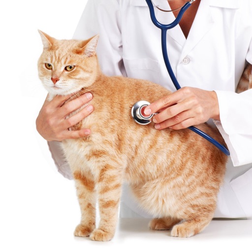 Veterinary Glossary and Cheatsheet: Study Guide and Courses