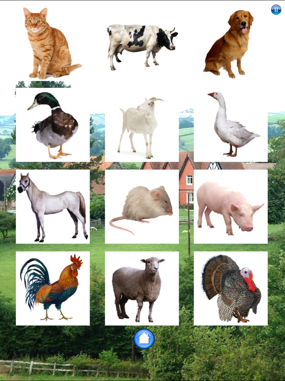 Farm animals... iPad screenshot