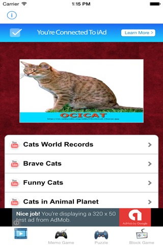 Learn English Via Cats & Kittens Names Games for Kids (lite) screenshot 4