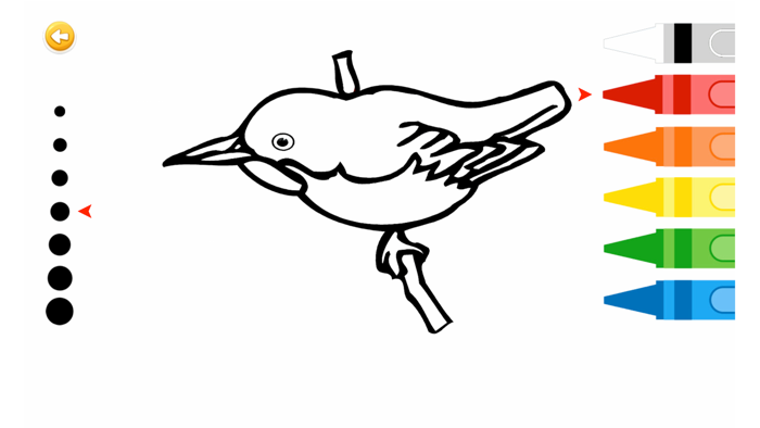 Bird Coloring Book  Finger Painting for Adults and Kids