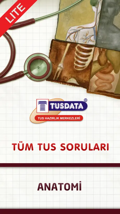 English To Romanian Translate