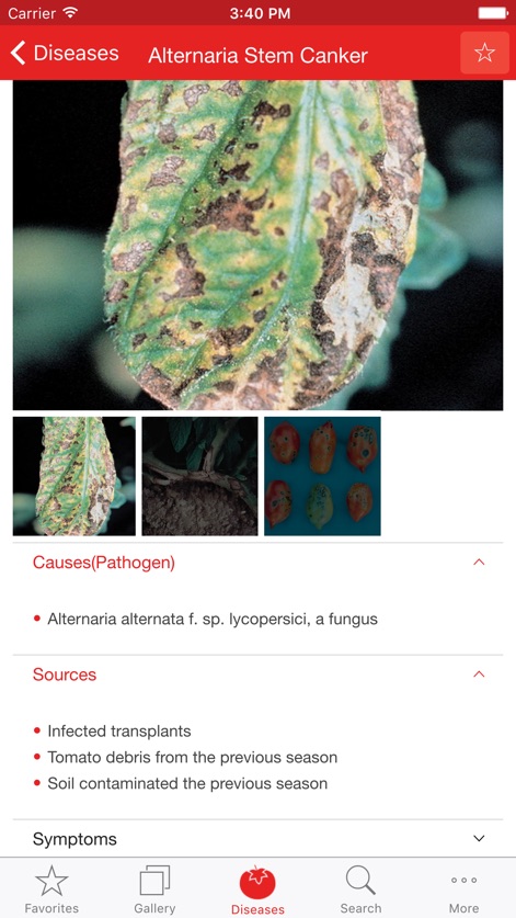 Tomato MD - tomato-md-alternaria-stem-canker