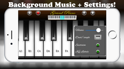 How to cancel & delete Virtual Piano Pro - Real Keyboard Music Maker with Chords Learning and Songs Recorder from iphone & ipad 4