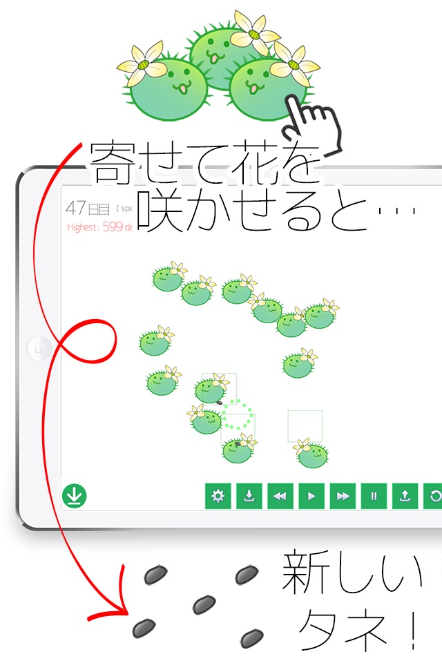 たまさぼ〜育生シミュレーション screenshot 2