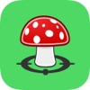 MushroomsFindr - iPhoneアプリ