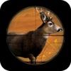 Deer Hunting Elite Sniper Assassins of Real Wild Animals 3D