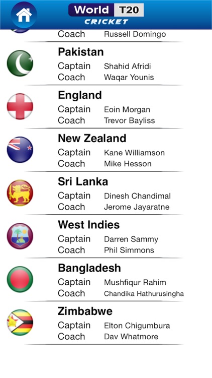 Cricket World T20 screenshot-3