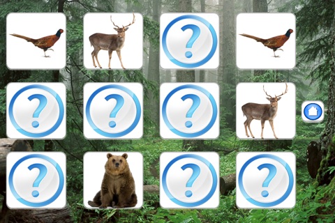 Siberian Animals screenshot 4