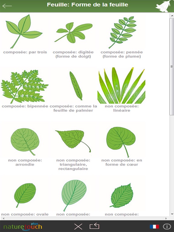 Screenshot #6 pour Identification des 3000 plantes, naturetouch