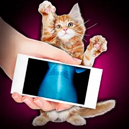 Xray Scanner Pet Cat Prank app icon