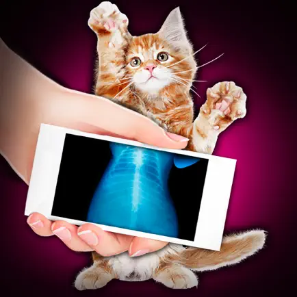 Xray Scanner Pet Cat Prank Cheats