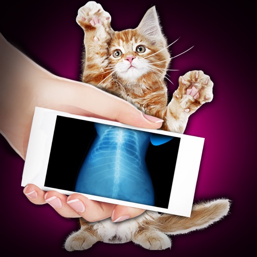 Xray Scanner Pet Cat Prank iOS App