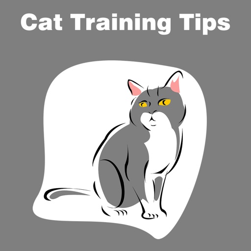 All Cat Training Tips icon