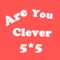 Are You Clever? - 5X5 Puzzle