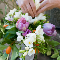 DIY Flower Arranging for BeginnersGuide and Tips