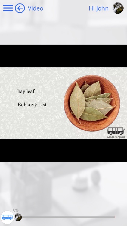 Learn Czech via Videos by GoLearningBus screenshot-3