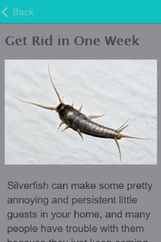 How To Get Rid Of Silverfish screenshot 2