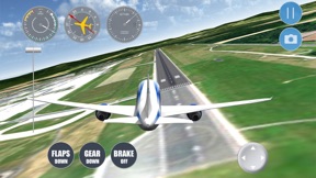 Airplane Frankfurt screenshot