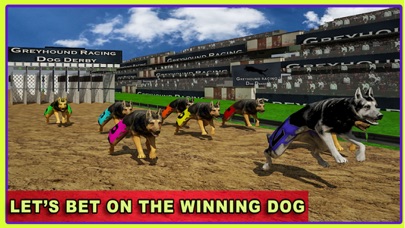 Screenshot #2 pour Race Dog Racer Simulator 2016 – Virtual Racing Championship with Real Police Dogs