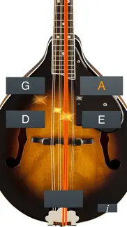mandolin tuner simple iphone screenshot 2