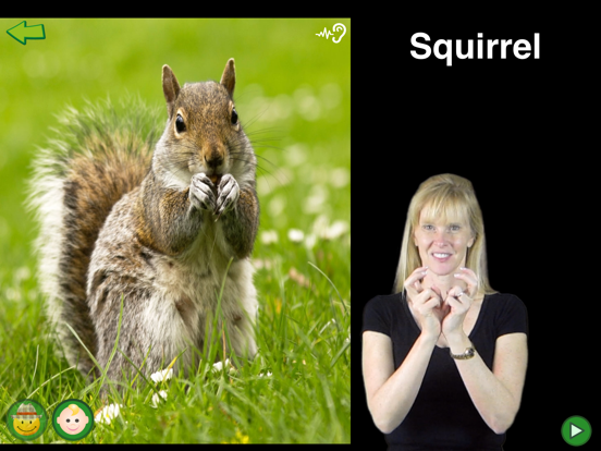 Screenshot #4 pour ASL Animals