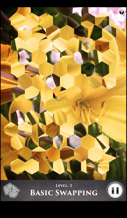 Hidden Scenes - First of Spring