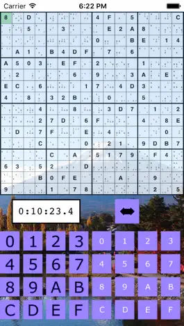 Game screenshot The Big Sudoku apk