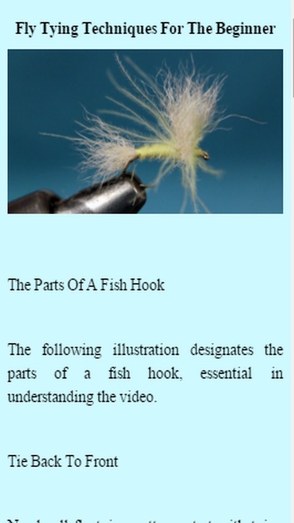 How To Fly Fish