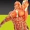 With ease, you can quickly and independently learn the 20 major muscle tests for the human torso