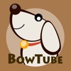 BowTube | Everyday cute & funny dog videos that will make you feel better