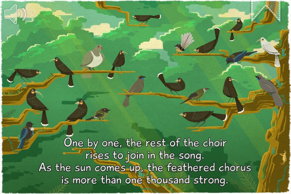 12 Huia Birds screenshot 2