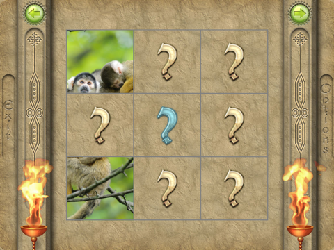 Screenshot #5 pour FlipPix Jigsaw - Sibs