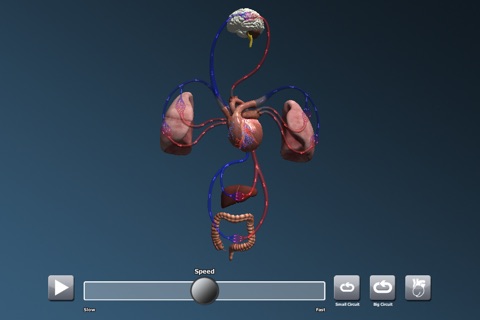 CHE: Cardiovascular System screenshot 3