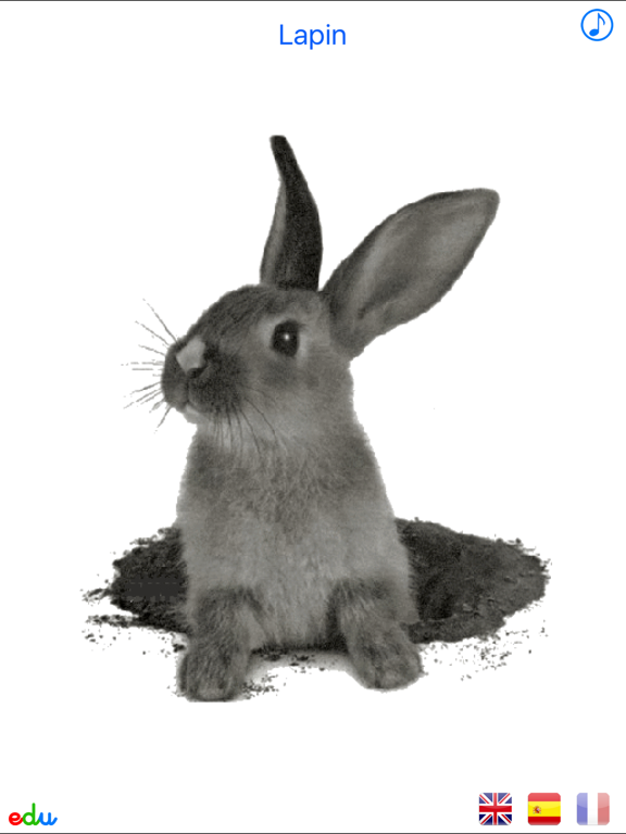 Screenshot #5 pour Animaux Animés Multilingue - Gratuit