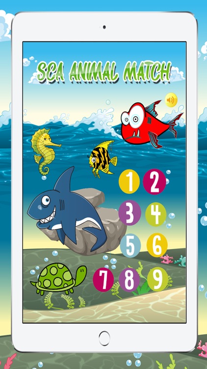 Mix and Matching Sea Animals Game for Kids Free