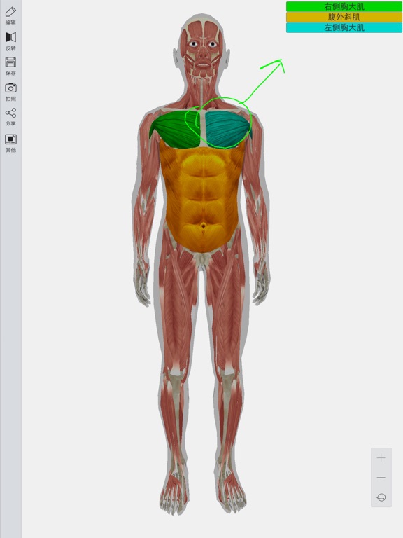 Screenshot #5 pour 3D人体模型
