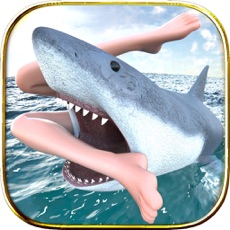 Activities of Shark Sim Beach Killer