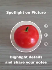 spotlight on picture айпад изображения 1