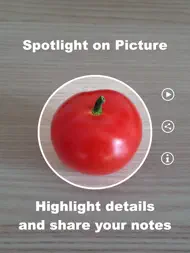 Spotlight on Picture ipad bilder 0