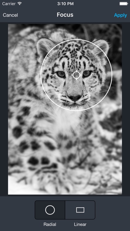 PicFlow - Photo Studio screenshot-3