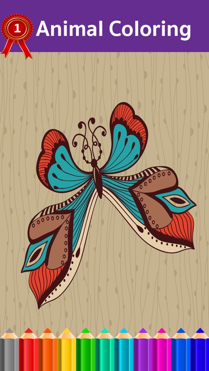 Animal Coloring Picture Book Pages for Kids and Preschool Toddler Game