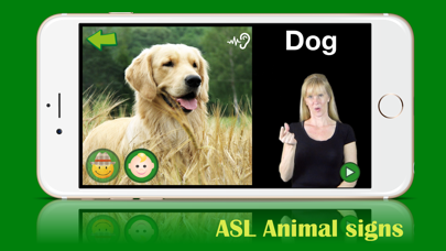 Screenshot #1 pour ASL Animals