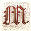 no app image