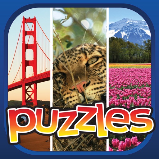 Fun Puzzle Games Premium icon